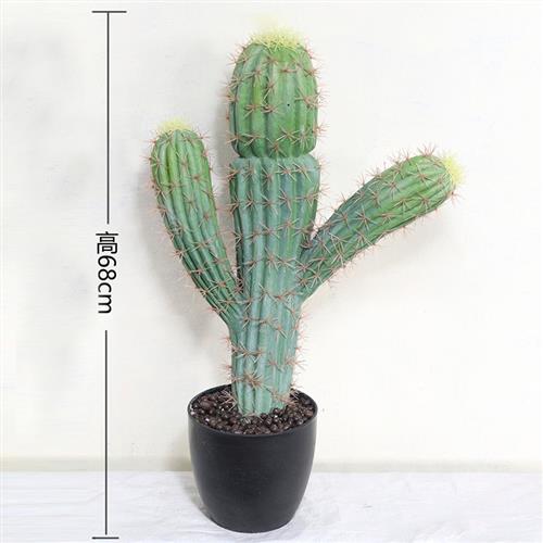 热带沙漠仿真仙人掌花仙人柱绿植盆栽组合造景植物道具摆件