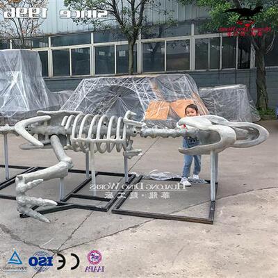 蛇年大型仿真霸王龙化石骨架恐龙模型摆件电影道具制作美陈.