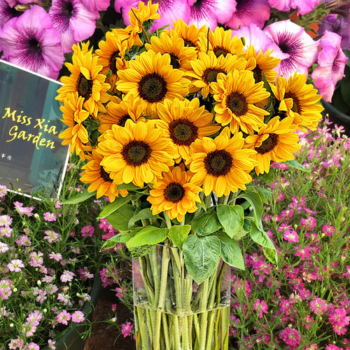 进口花粉质量怎么样 进口花粉口碑怎么样 小麦优选