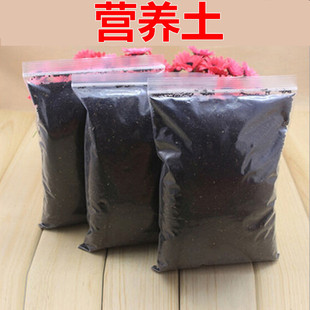 营养土 河泥 荷塘泥土 水培土泥 适合碗莲睡莲荷花铜钱草种植 园