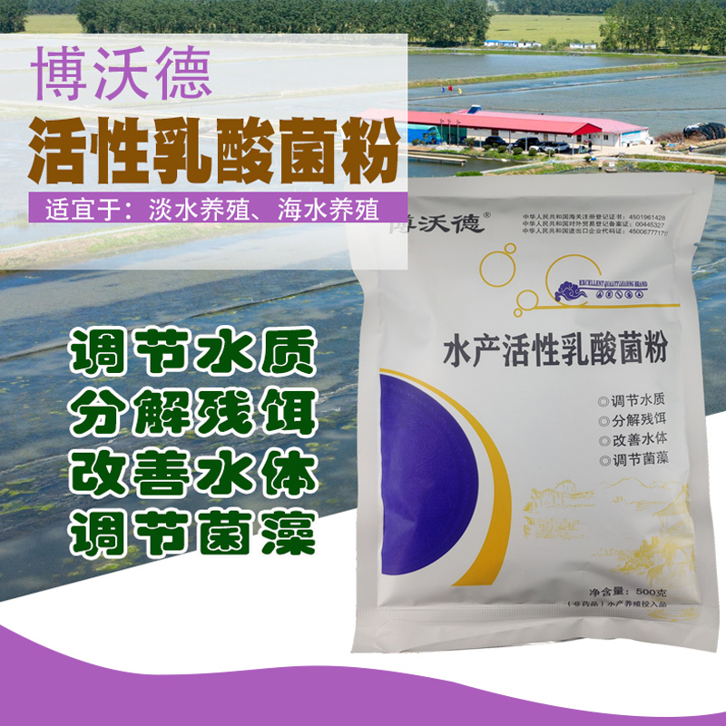 乳酸菌水产养殖专用药博沃德蛋白