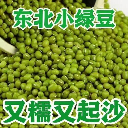 新货】东北新鲜新绿豆大容量批发薄皮小绿豆易出沙商用绿豆粥原料