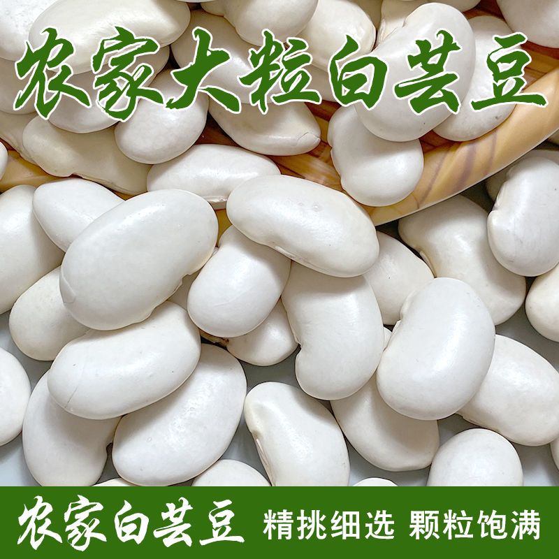 云南大白芸豆新货白云豆大白腰豆大雪豆干货新鲜煲汤正宗白芸豆