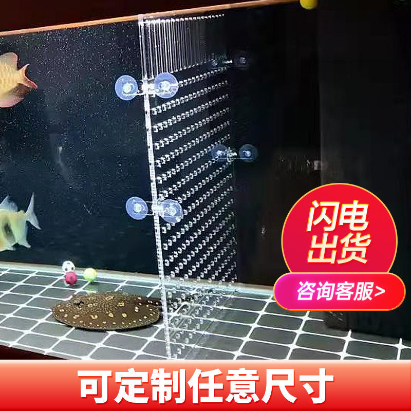 鱼缸内隔离网鱼缸隔离板隔板透明亚克力板挡板盖板挡鱼水族箱分离