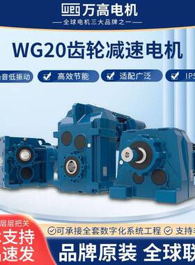 WG20铝壳齿轮减速机C型F型平行轴型伞齿斜齿铸铁模块减速电机