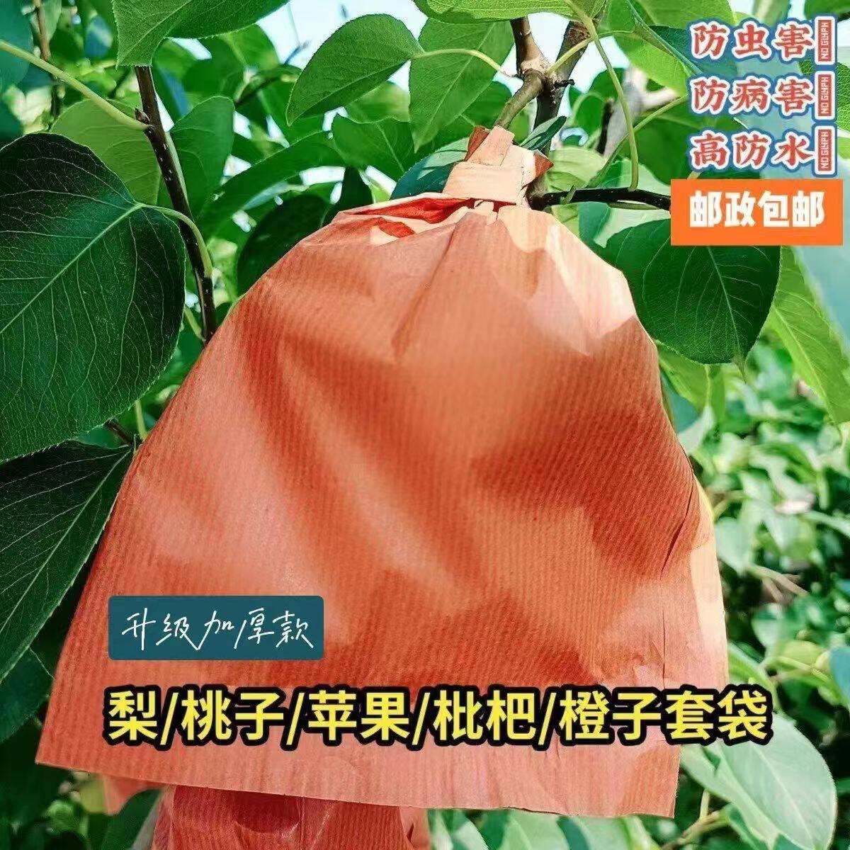 套苹果专用袋梨子双层枇
