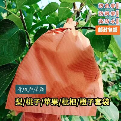 套苹果专用袋梨子双层枇