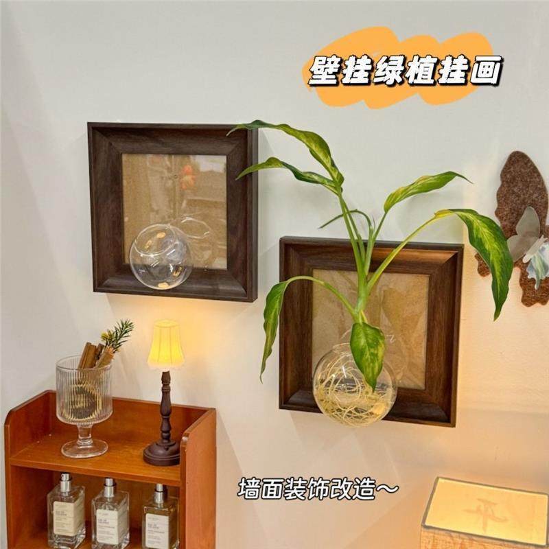 框壁挂绿植壁挂绿植相框挂画装饰画卧室客厅玄关墙面装饰挂件创意