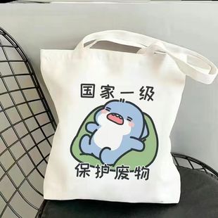 书手提袋子 帆布包包女ins森系高颜值小众卡通单肩包外出大容量装