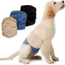Large Dog Diaper Sanary Physiological Pants Reusable Teddy