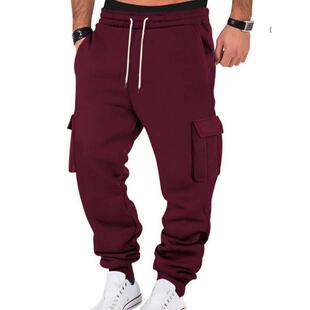 D 87050 Men's Winter Fleece Cargo Pants 冬季加绒工装裤