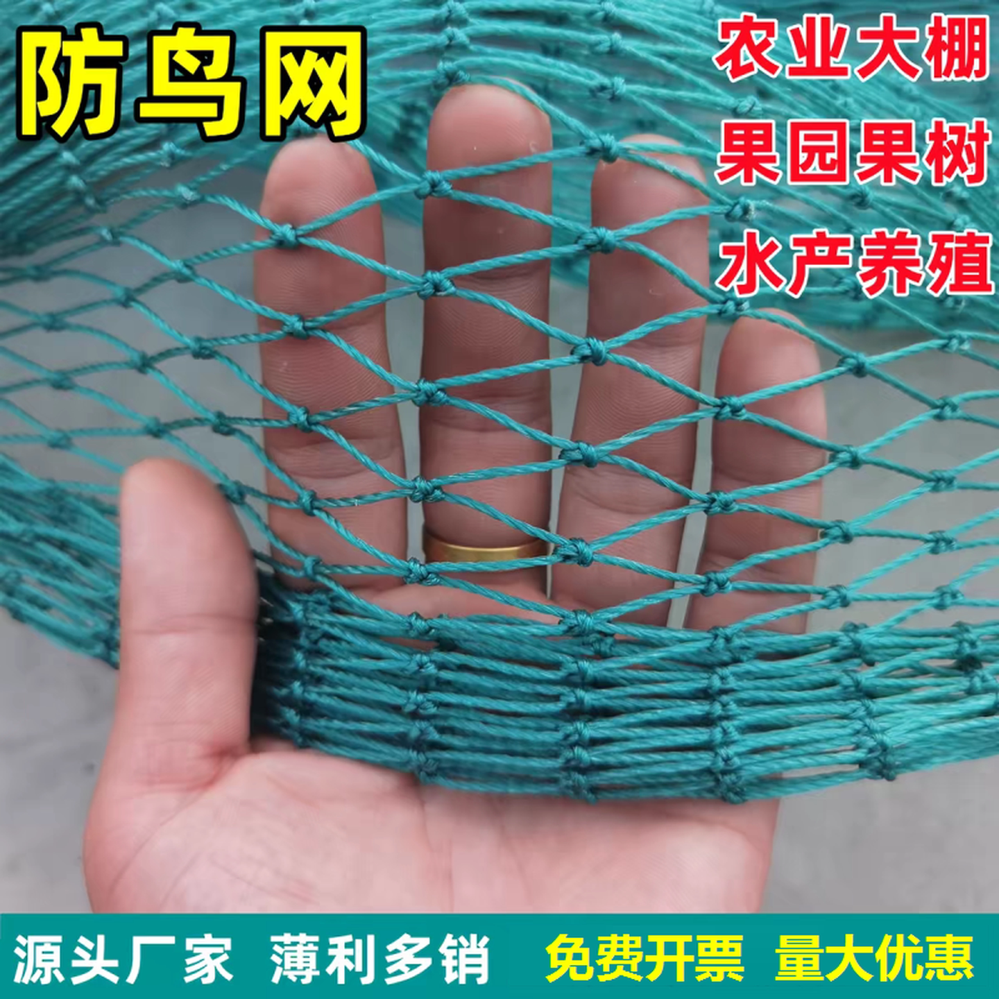 防鸟网尼龙网养殖天网养殖网大棚通风网鱼塘果树菜园养鸡网护栏网