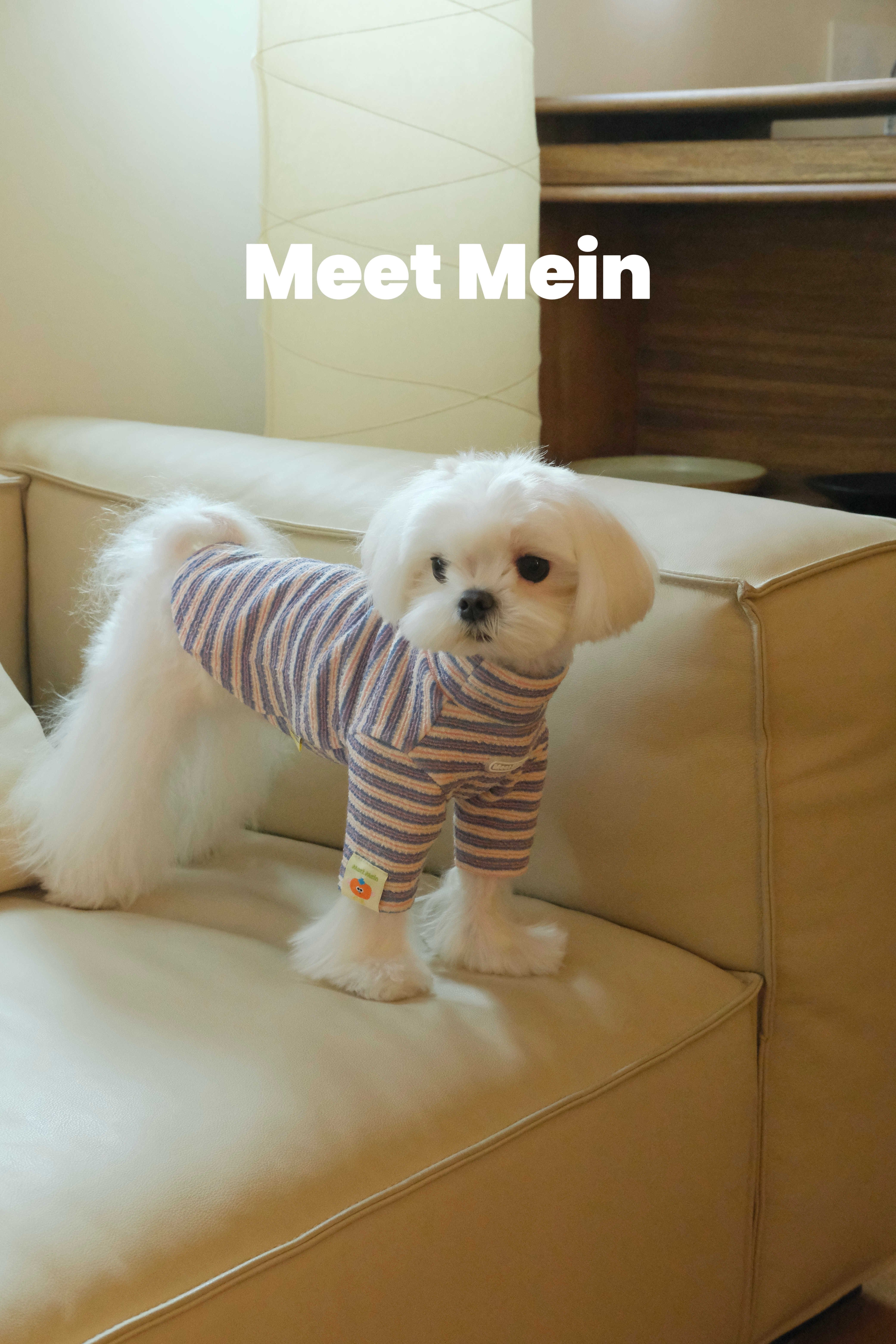 MeetMein系列原创设计宠物服装小狗狗衣服秋冬装比熊打底衫保暖