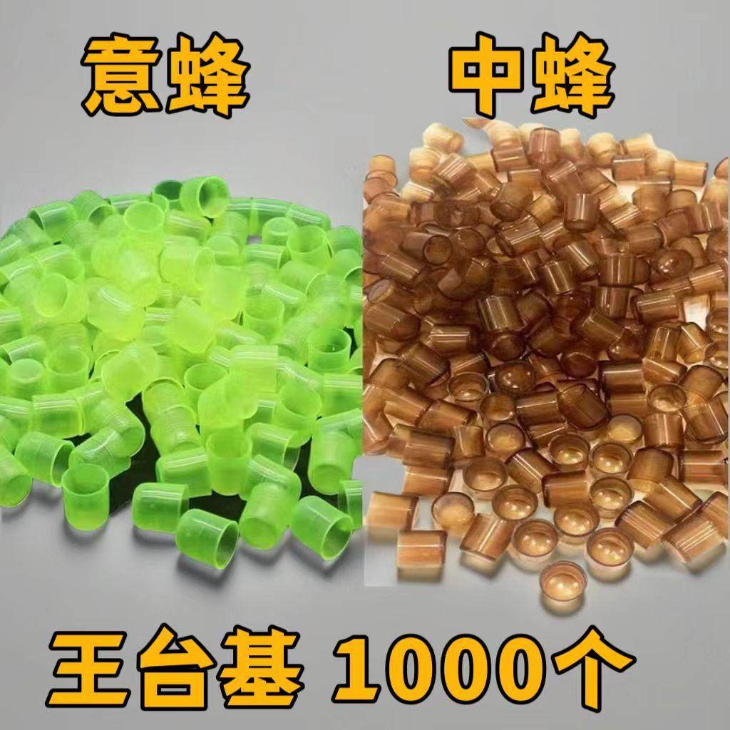 （活动)塑料蜜蜂王台基育王杯中意蜂人工育王台基专用育王台蜡碗