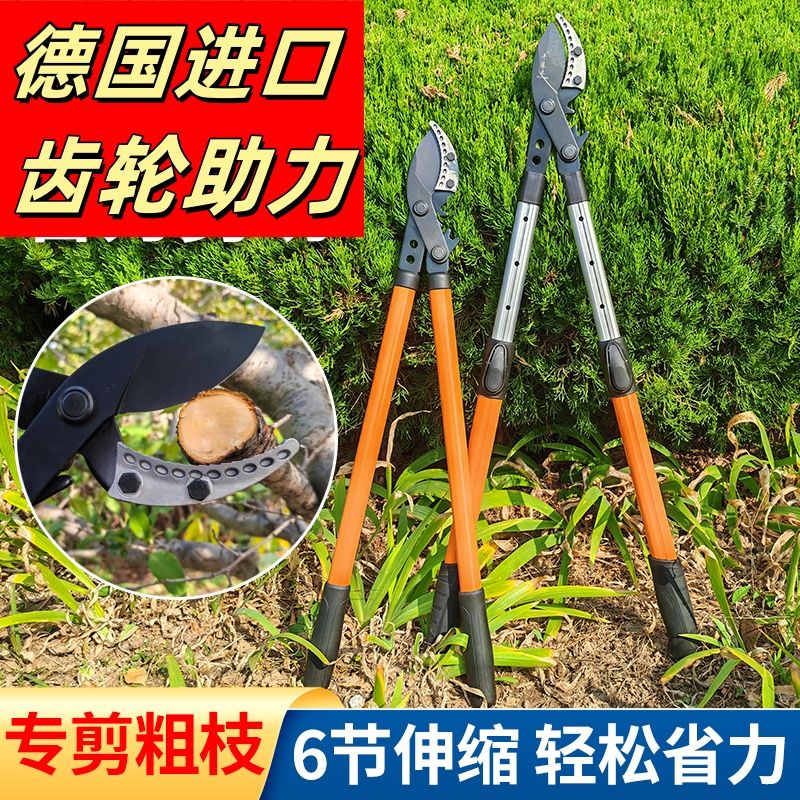 德国进口大力剪果树高枝剪修枝剪子粗枝剪齿轮强力伸缩大剪刀园林