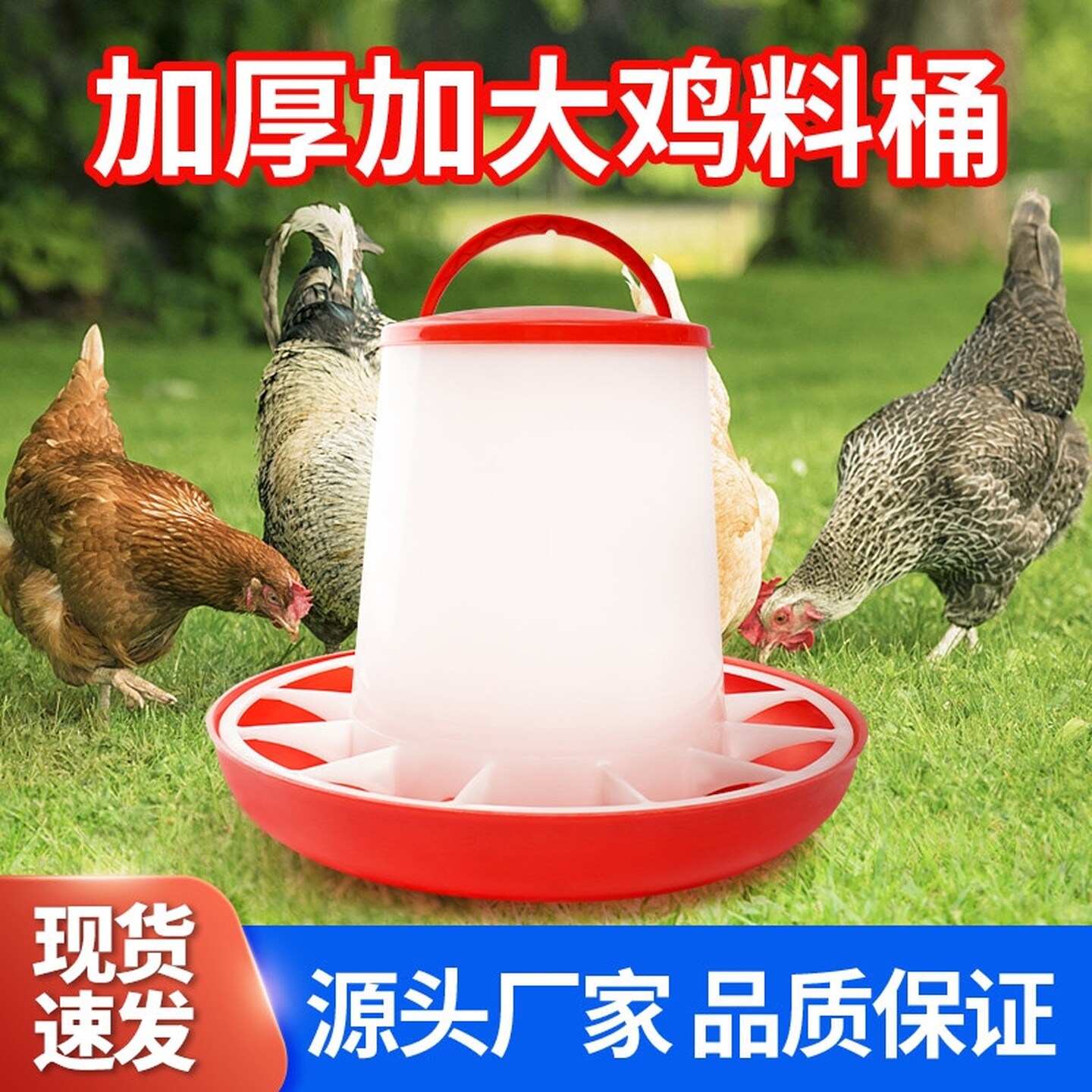 水槽鸡防扒料桶养鸡鸭自动喂食器一体桶喂鸡食桶大鸡食槽小鸡料桶