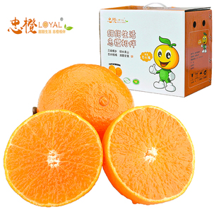 CCTV报道冉阳农业偶林记果园重庆忠县柑橘忠橙春见耙耙柑春节礼盒