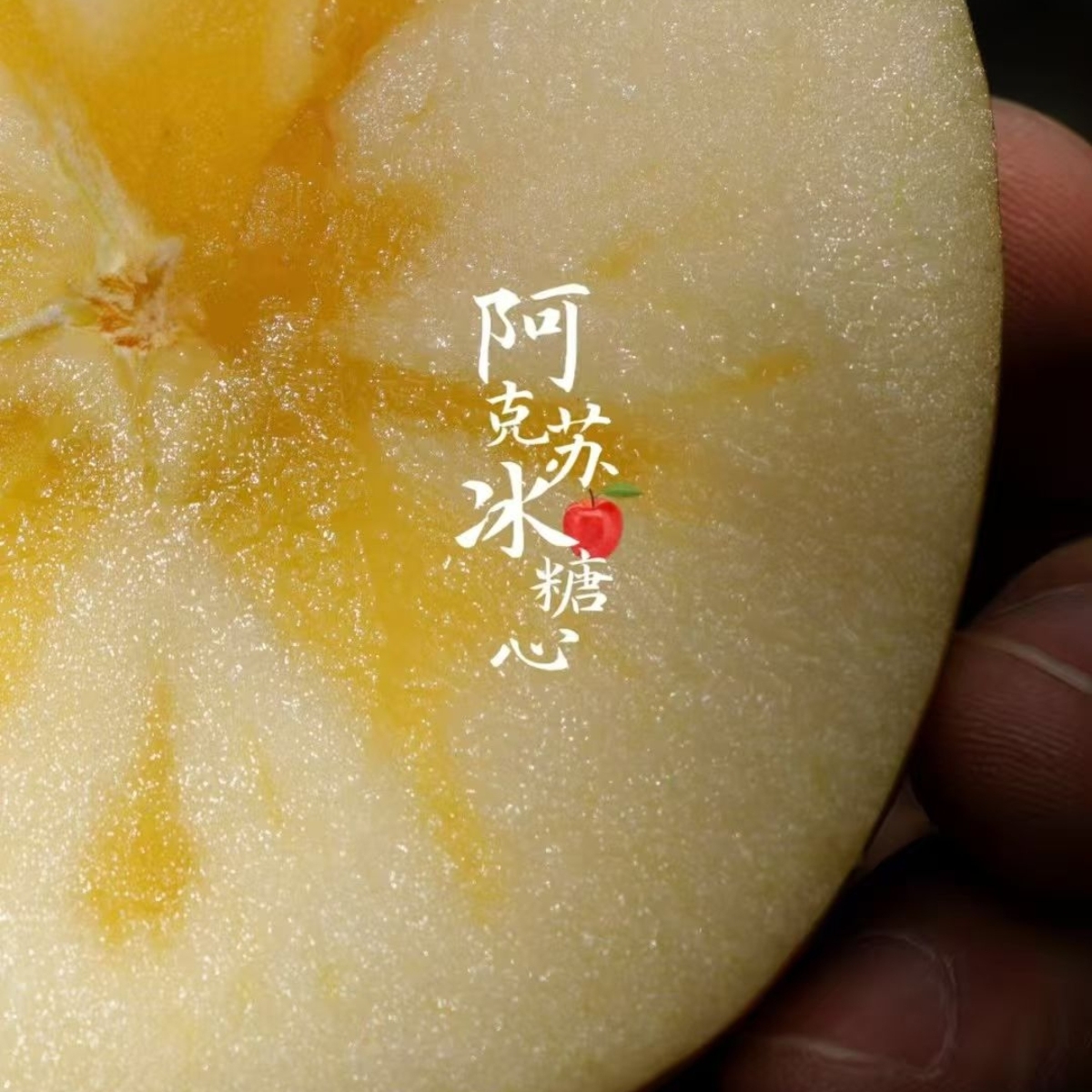 （产地直发）新疆阿克苏红旗坡六队冰糖心苹果，当季新鲜水果甜
