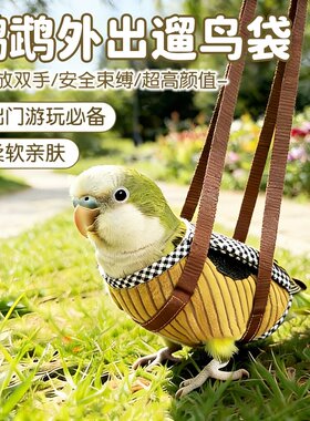 小鸟遛弯包！鹦鹉手把袋户外便携小鸟外出包可手提防飞鸟类外带包