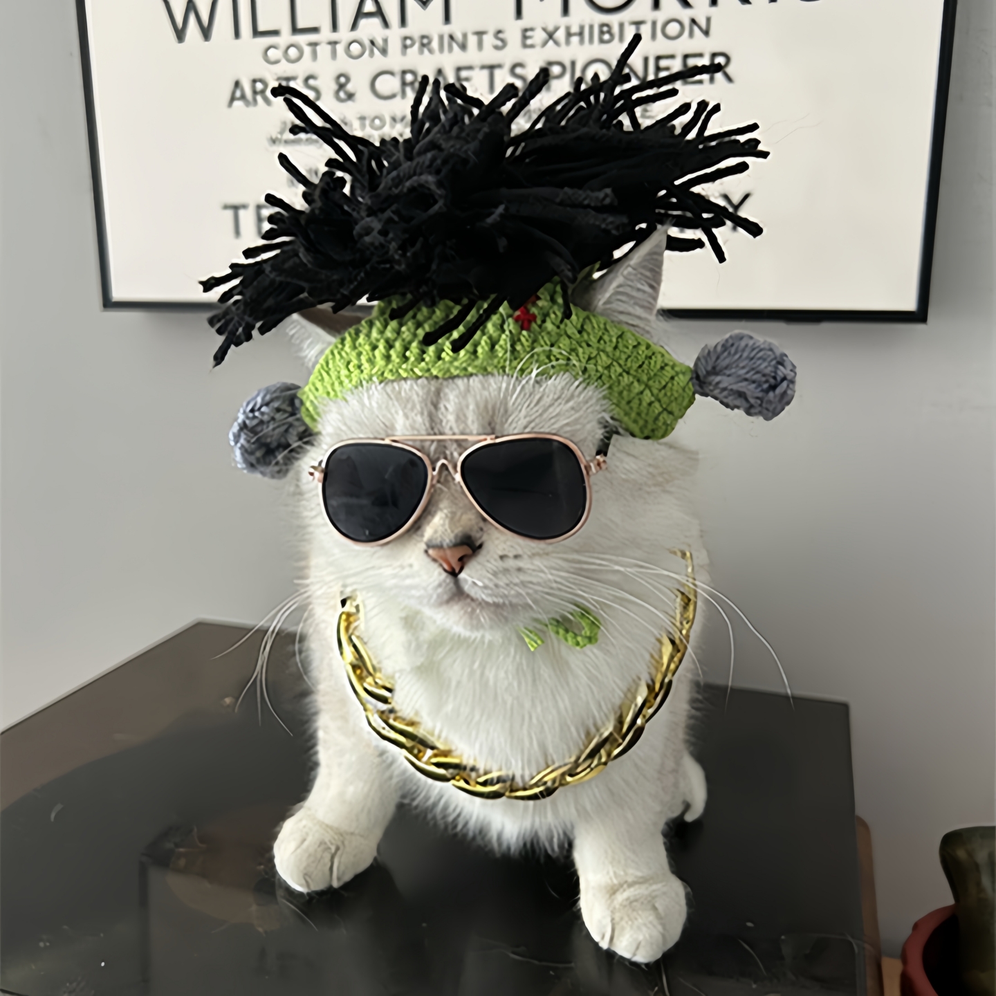 猫咪摇滚假发头套朋克搞笑搞怪