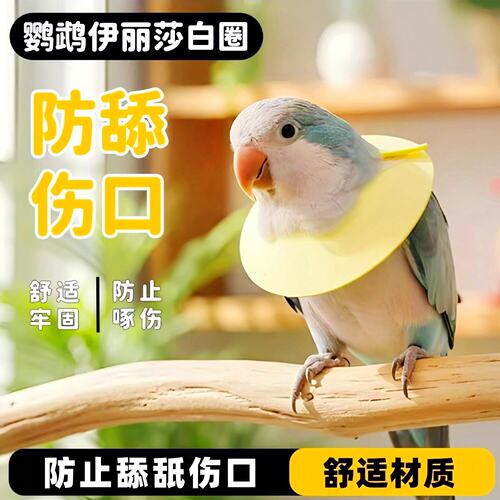 宠帮仕鹦鹉防咬不勒脖伊丽莎白圈