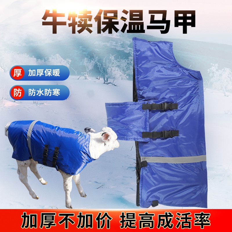 小犊牛马甲防寒防水马夹加厚