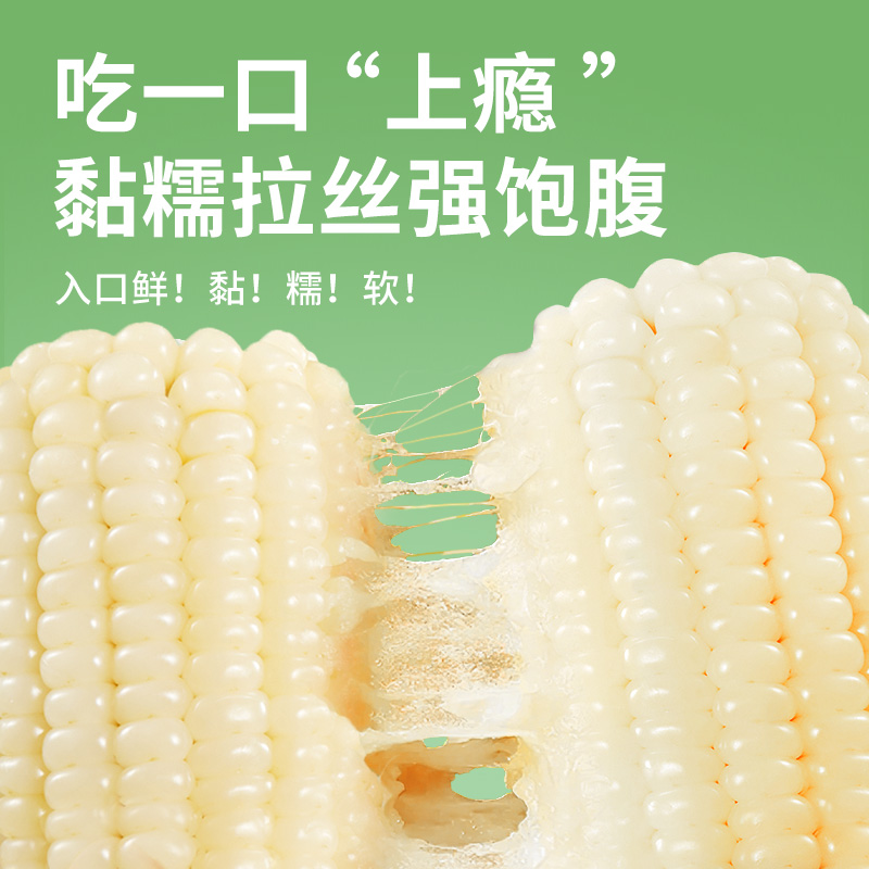 有机玉米白甜糯真空装非东北无糖精黄粘黏糯玉米非转基因新鲜现摘