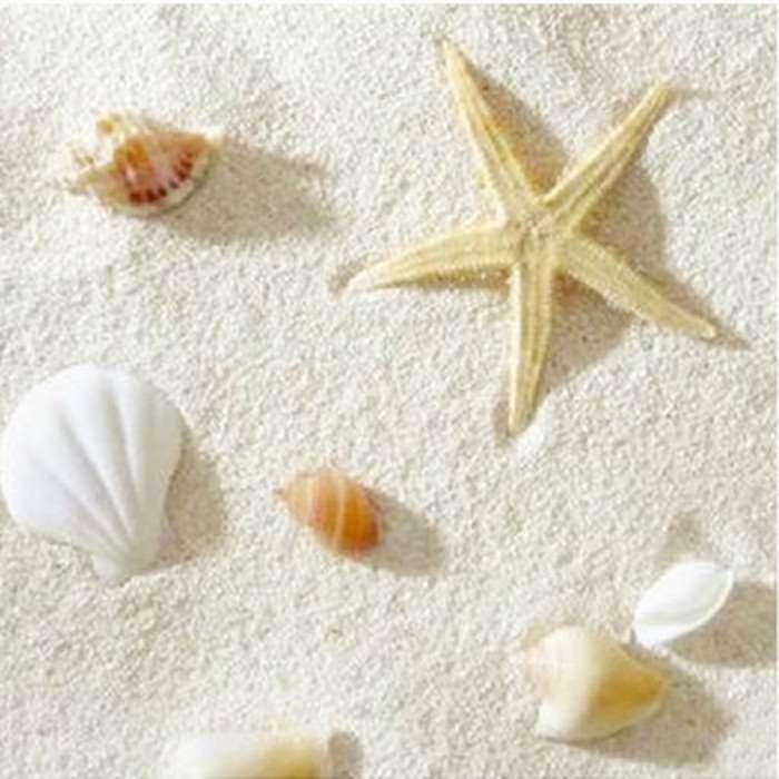 菲律宾沙贝壳沙珊瑚砂白沙鱼缸装饰造景海缸三湖鱼寄居蟹底沙3号