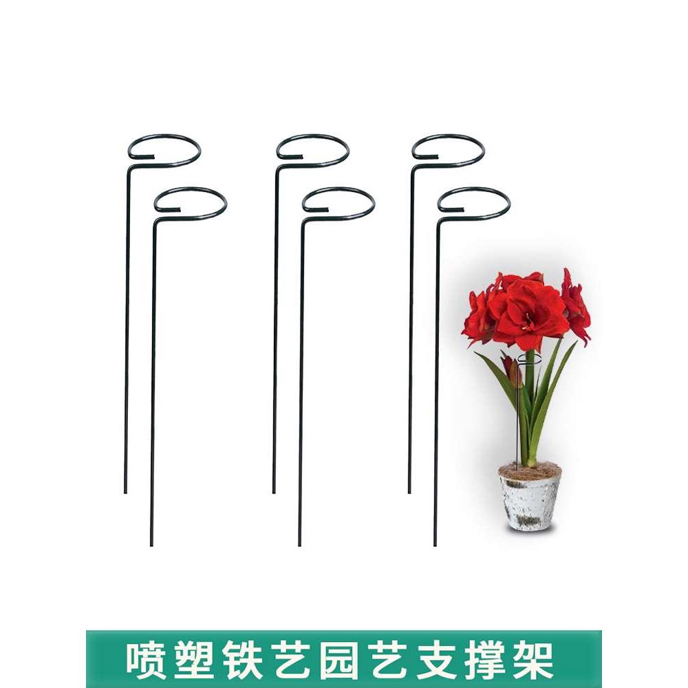 植物支撑杆绣球朱顶红蝴蝶兰爬藤固定架花卉防倒伏月季铁艺花架