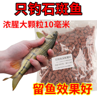 石斑鱼溪流钓红虫大颗专用野钓饵料浓腥马口小白条蚯蚓打窝料颗粒