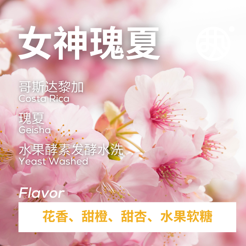 粉标【女神瑰夏】哥斯达黎加女神庄园水果酵素发酵水洗中浅黑咖啡,咖啡/麦片/冲饮,咖啡豆,淘宝优惠券,粉丝福利购,淘宝优惠卷