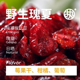 执人执味 红标【野生瑰夏】埃塞戈里森林日晒瑰夏精品手冲咖啡豆