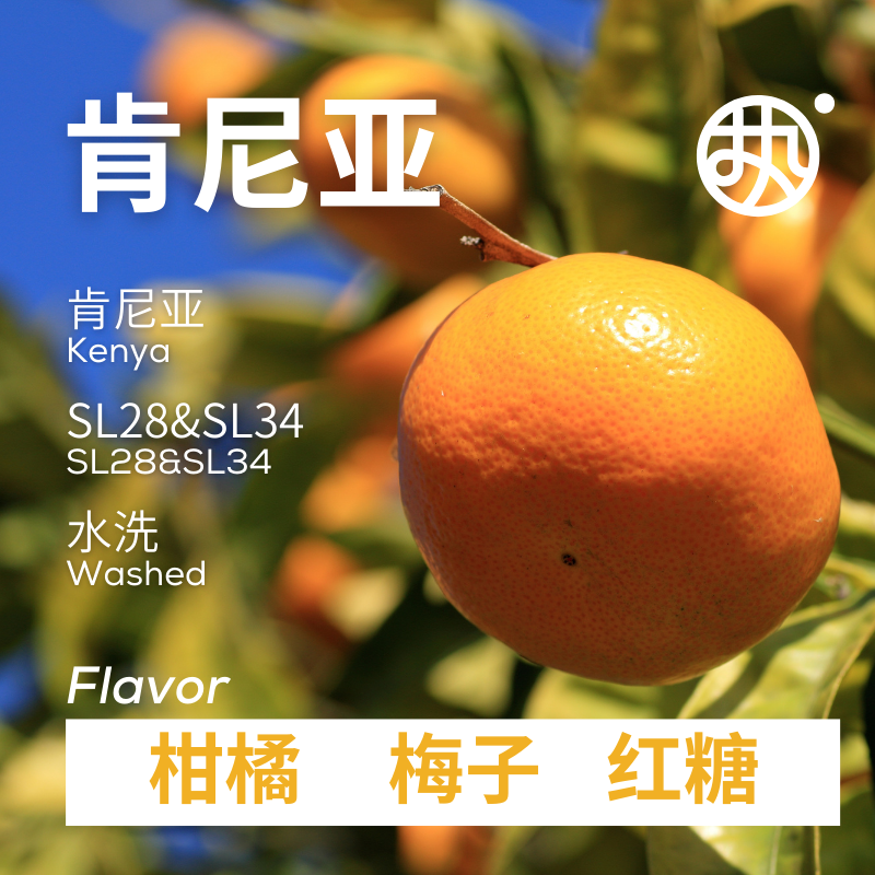 绿标【肯尼亚】肯尼亚玛赛