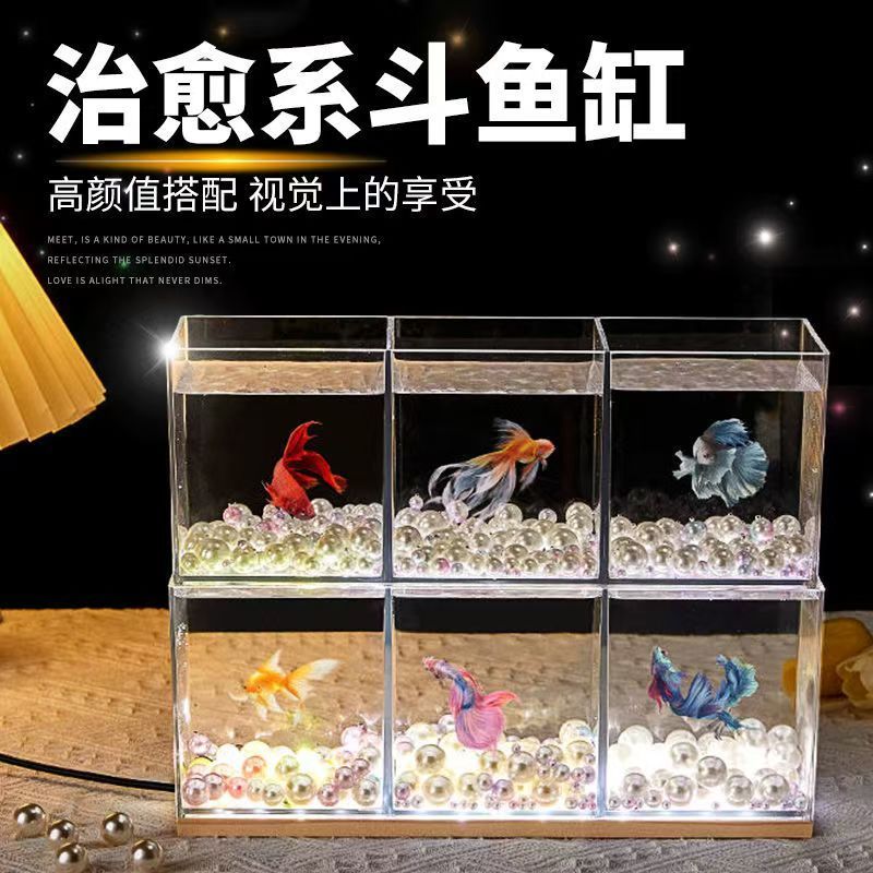 养虾专用缸鱼缸小型斗多