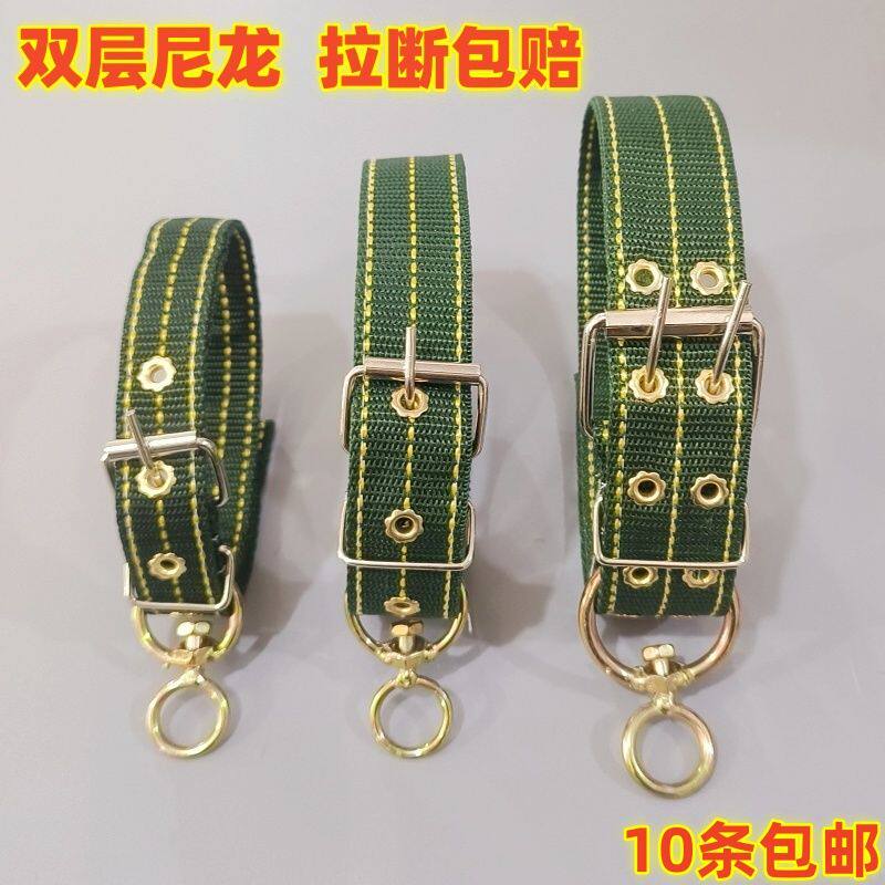 狗狗项圈不勒脖子环防走