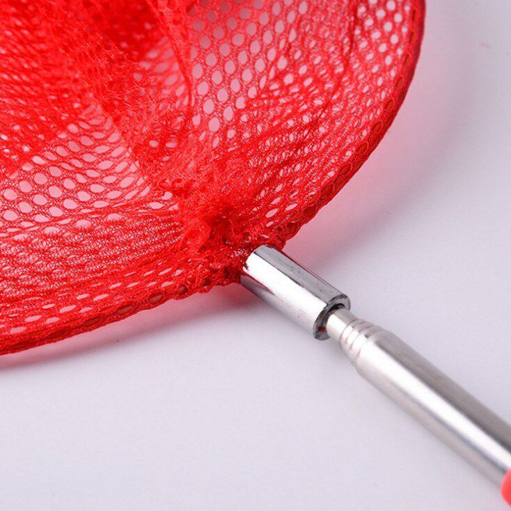 儿童捕鱼网可伸缩捕蝴蝶蜻蜓捞鱼网渔网兜钓鱼网宝宝户外亲子玩具在类目 玩具/童车/益智/积木/模型, 户外运动/休闲/传统玩具, 其他户外休闲玩具中 - 来自Buy2taobao.com提供专业的淘宝代购服务