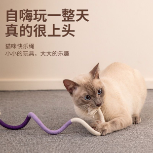 猫玩具磨牙棒啃咬逗猫棒静音不吵人独处自嗨解闷虫瘿果逗猫神器
