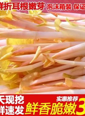 四川新鲜鱼腥草嫩芽即食农家凉拌折耳根带叶子侧耳根下饭菜3斤装