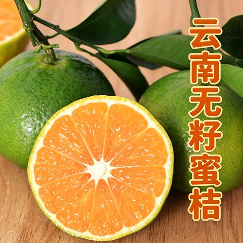云南蜜桔5A品质现摘现发自然熟