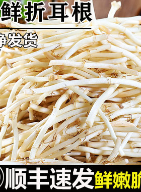 顺丰鱼腥草折耳根新鲜现挖农家自种下饭菜贵州特产四川侧耳跟嫩根