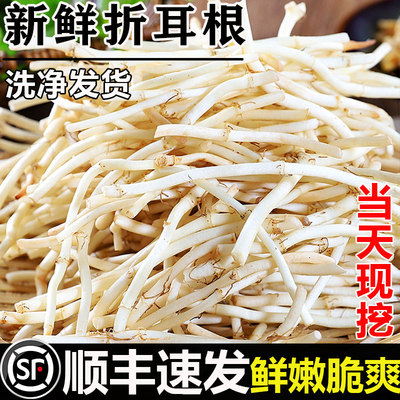 顺丰鱼腥草折耳根新鲜现挖农家自种下饭菜贵州特产四川侧耳跟嫩根