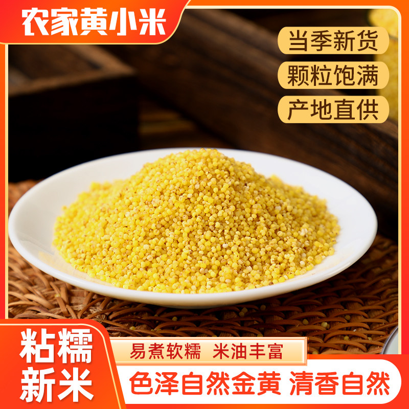 【黄小米】当季新鲜黄小米农家自产小米颗粒饱满早餐粥小米粥