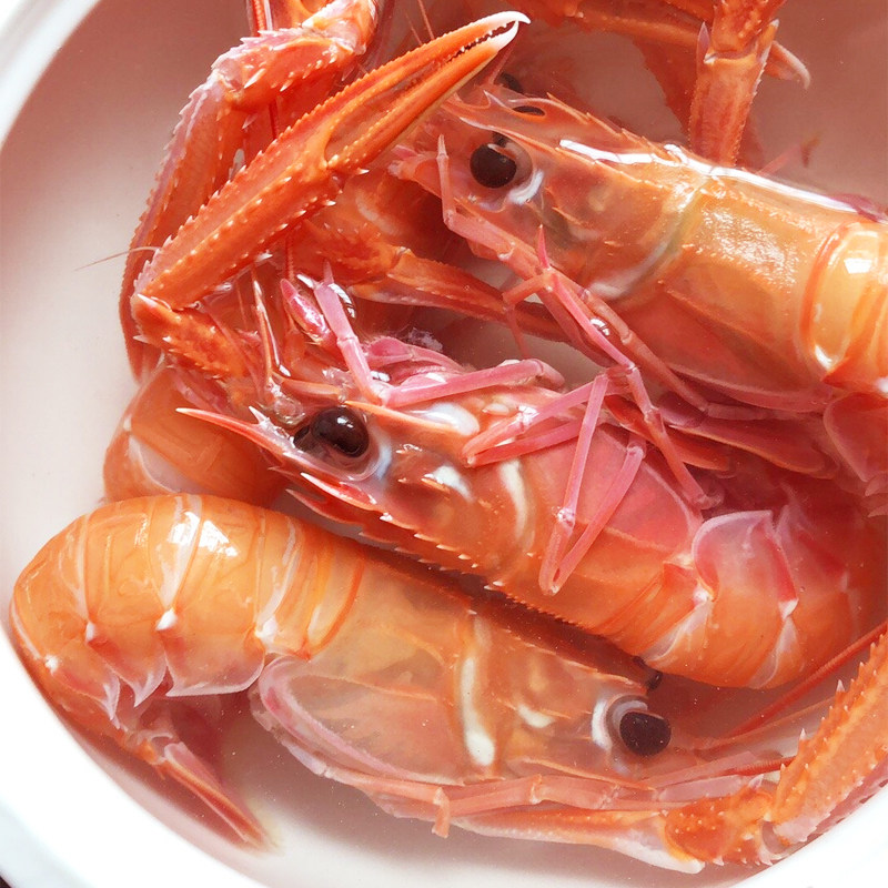 深海鳌虾 野生国产弹弹虾 铁壳虾鲜活急冻日料虾刺身虾深海小龙虾