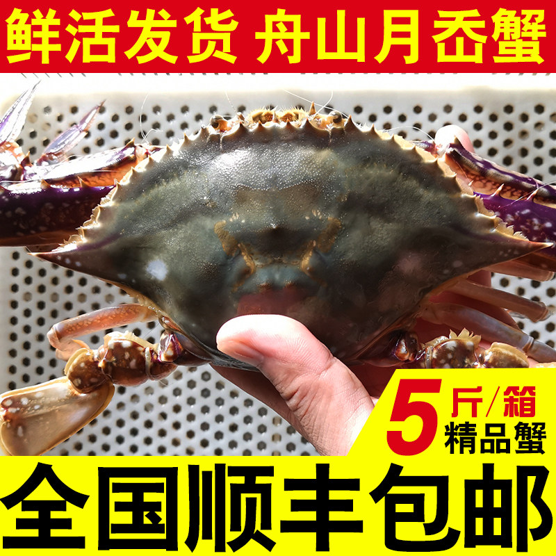 野生公梭子蟹 鲜活大白蟹新鲜飞蟹螃蟹 舟山海鲜水产海肉蟹月岙蟹,水产肉类/新鲜蔬果/熟食,梭子蟹,淘宝优惠券,粉丝福利购,淘宝优惠卷