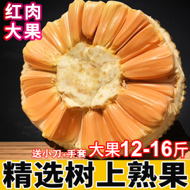 泰国红肉菠萝蜜红心新鲜水果一整个木菠萝大果熟果10-12-16斤包邮图片