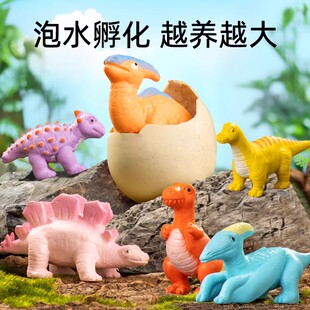 泡水孵化恐龙蛋盲盒破壳变大泡在水里的儿童玩具会长大膨胀男女孩