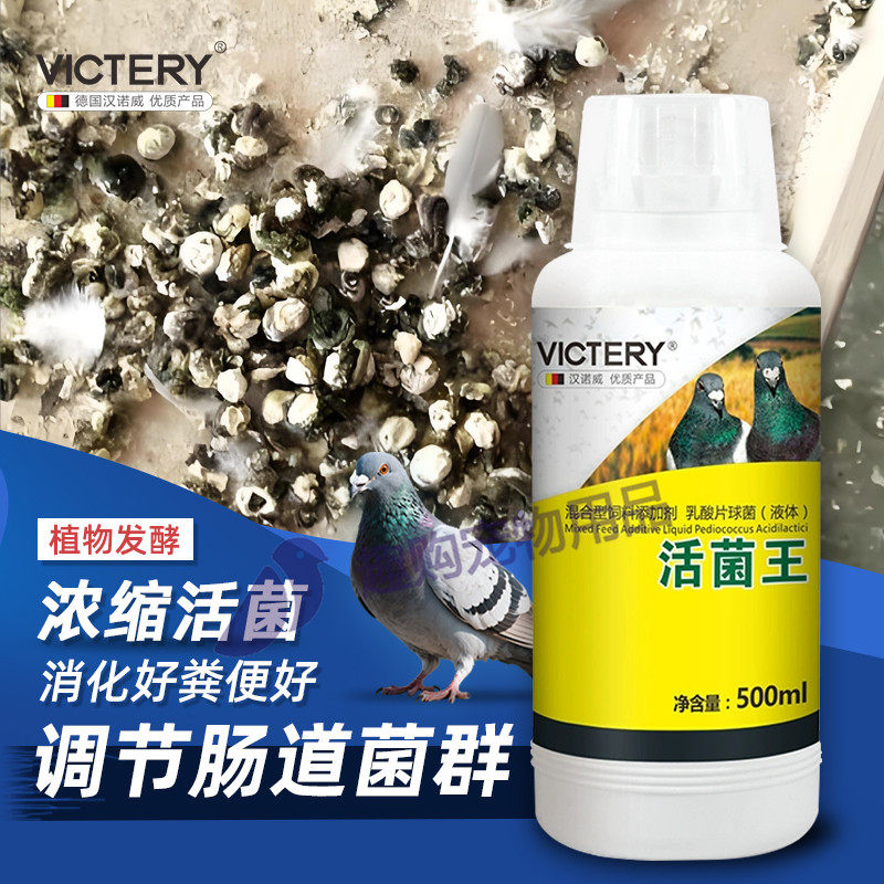 汉诺威鸽用活菌王调节肠道水绿便益生菌防甩拉吐非鸽药保健品大全