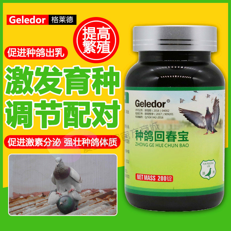 鸽药大全种鸽回春宝老鸽调理保健促进配对防止无精蛋格莱德鸽用