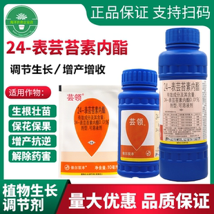 24表芸苔素内脂 叶面肥 生根壮苗水稻小麦保花保果增产生长调节剂