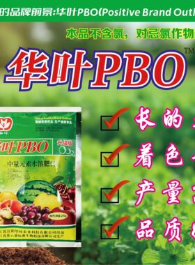 江苏华叶PBO 新型果树促控剂缩节控梢大果葡萄催熟增产着色叶面肥